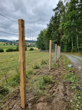 Wildzaun in Augsburg - fachgerechte Ausführung vor Ort